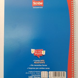 CUADERNO PROF.100/HOJAS C/CHICO ECONOMIC