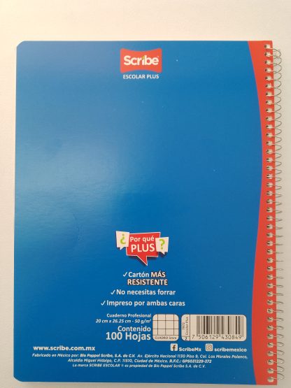 CUADERNO PROF.100/HOJAS C/CHICO ECONOMIC