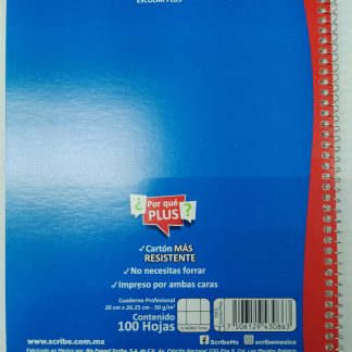 CUADERNO PROF.100 HOJAS C/GRANDE ECONOMI