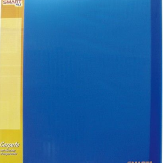 CARPETA CON 40 MICAS T/C